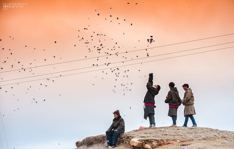 в свою очередь  горных  скотоводов  转山的牧民photo preview