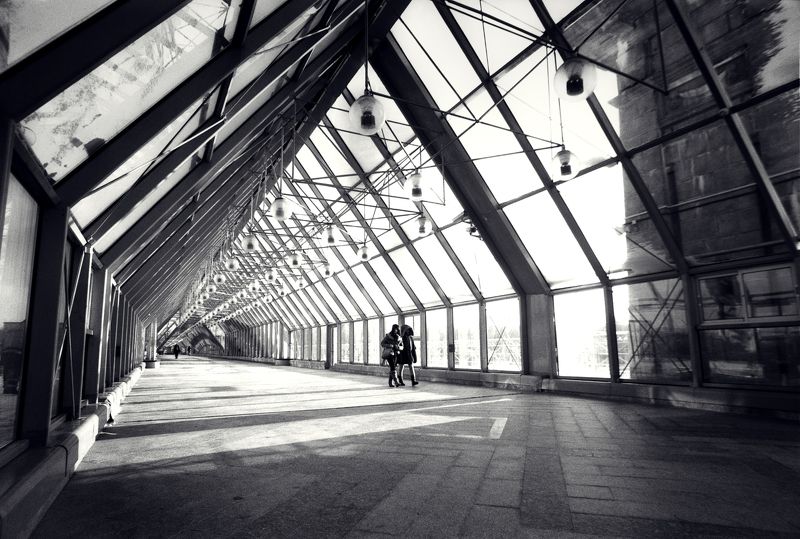 Пушкинский мостphoto preview