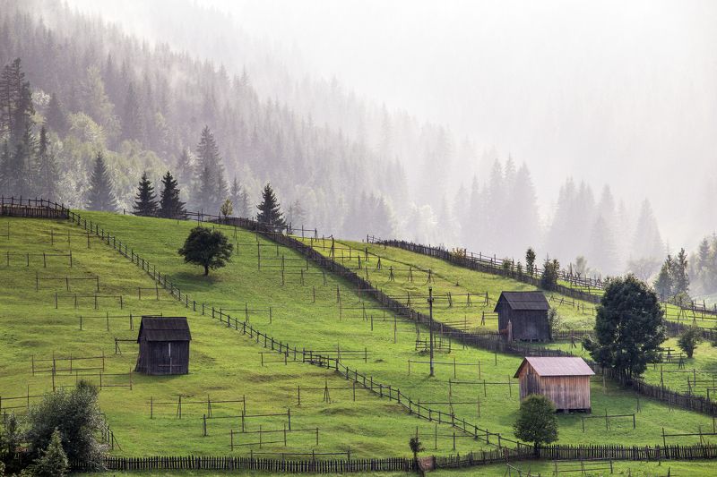 romania,trees,bucovina,land,mist,fog, My beautiful Bucovinaphoto preview