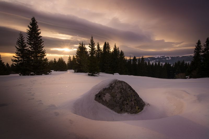 Витошаphoto preview