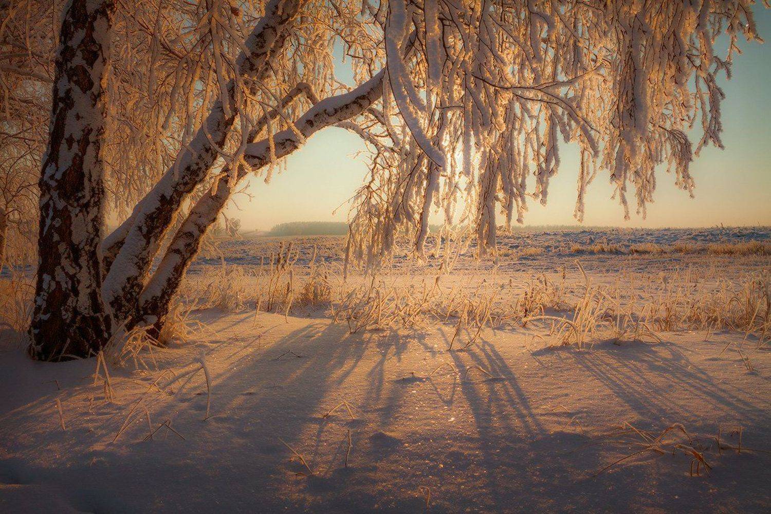 , Николай Морский