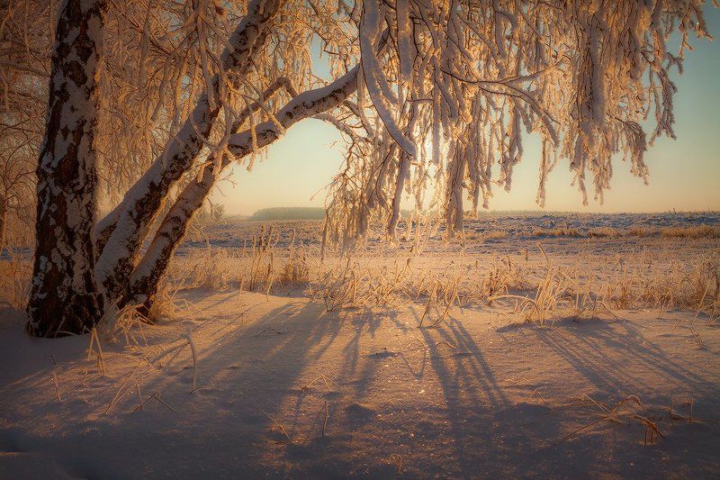 Последние морозыphoto preview