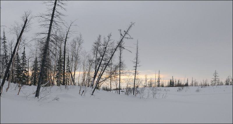 Таймыр,март,природа Воскресный пасмурный деньphoto preview