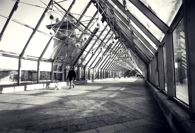 Пушкинский мостphoto preview