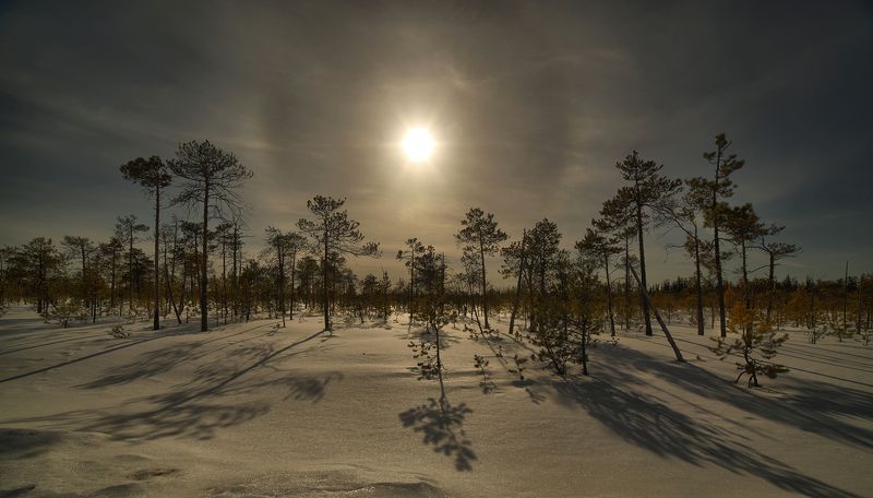 полярный полденьphoto preview