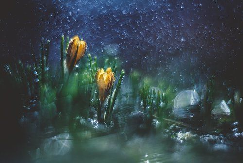 ...я подарю тебе звезду...