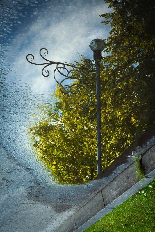 отражение, sigma, dp1 Отраженияphoto preview