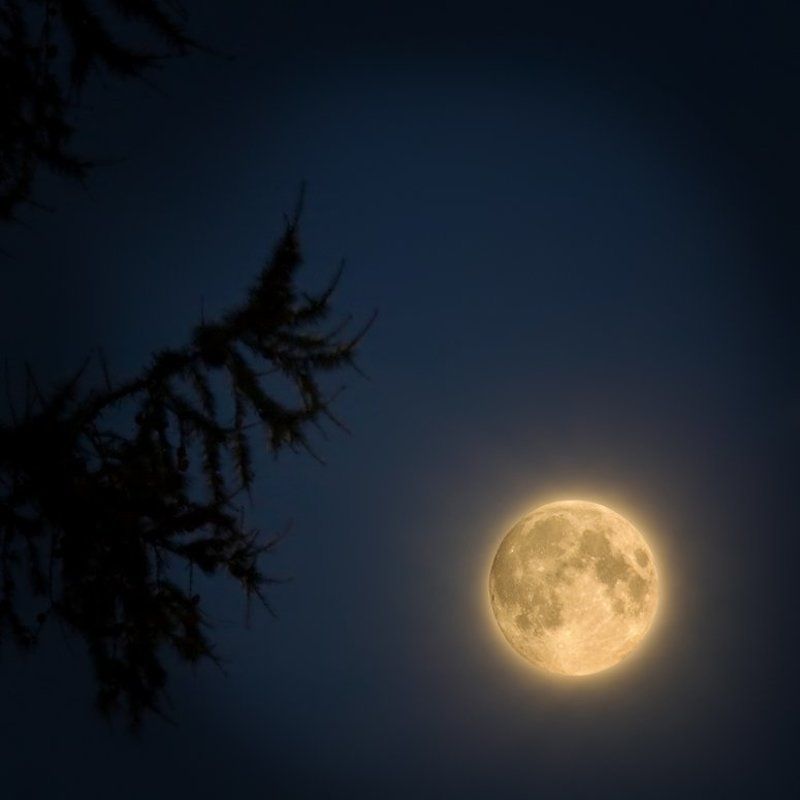 Полнолуниеphoto preview