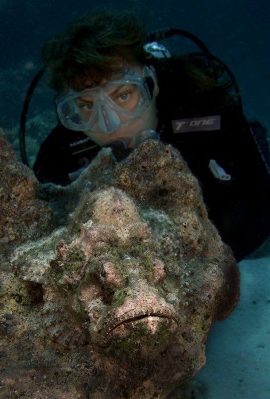 Найди рыбку...photo preview