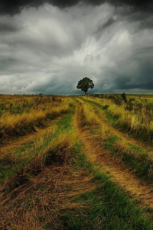 задумчиво....photo preview