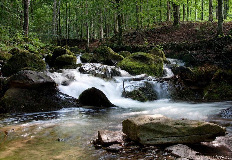 река, горы, лес, карпаты Шум горной рекиphoto preview