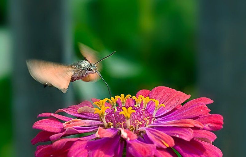 дозаправка в воздухеphoto preview