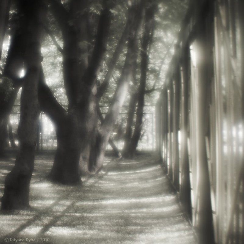 монокль Городская геометрияphoto preview