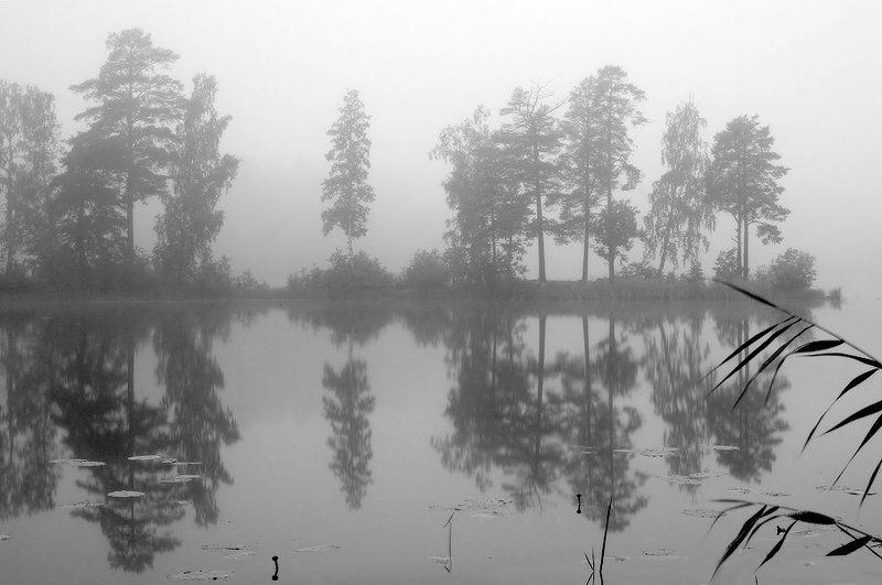 Природа дремлетphoto preview