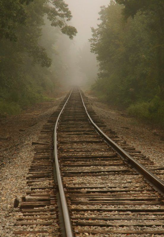 туман, рельсы, пейзаж, лес Старая дорога в туманеphoto preview