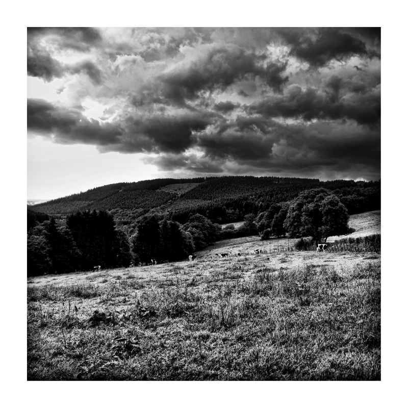 небо, горы, бельгия, арденны, пейзаж, фото, черно-белый Небо. Горы и коровы(если приглядеться)photo preview