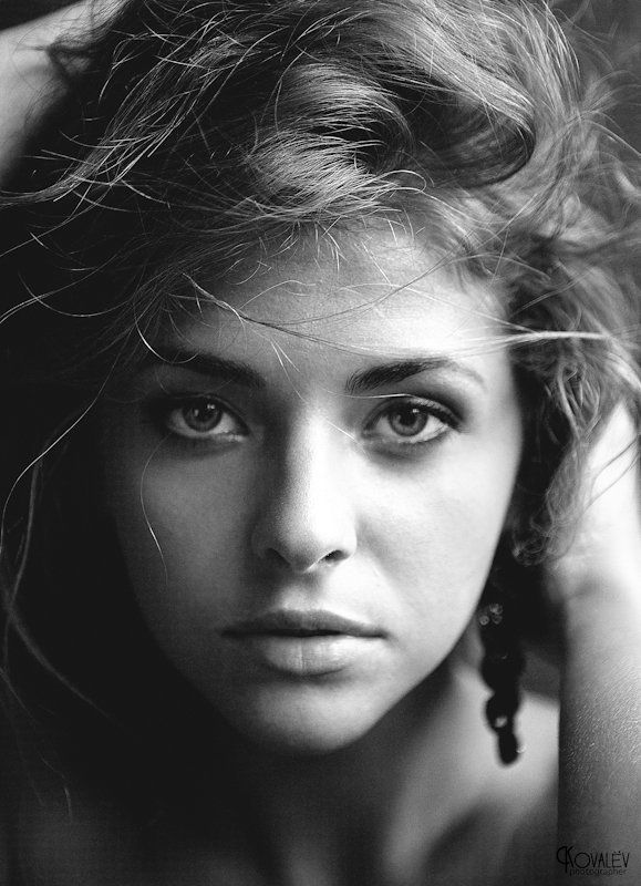 ckovalev ...photo preview