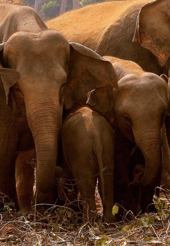 ничего что я к вам не совсем лицом?!photo preview