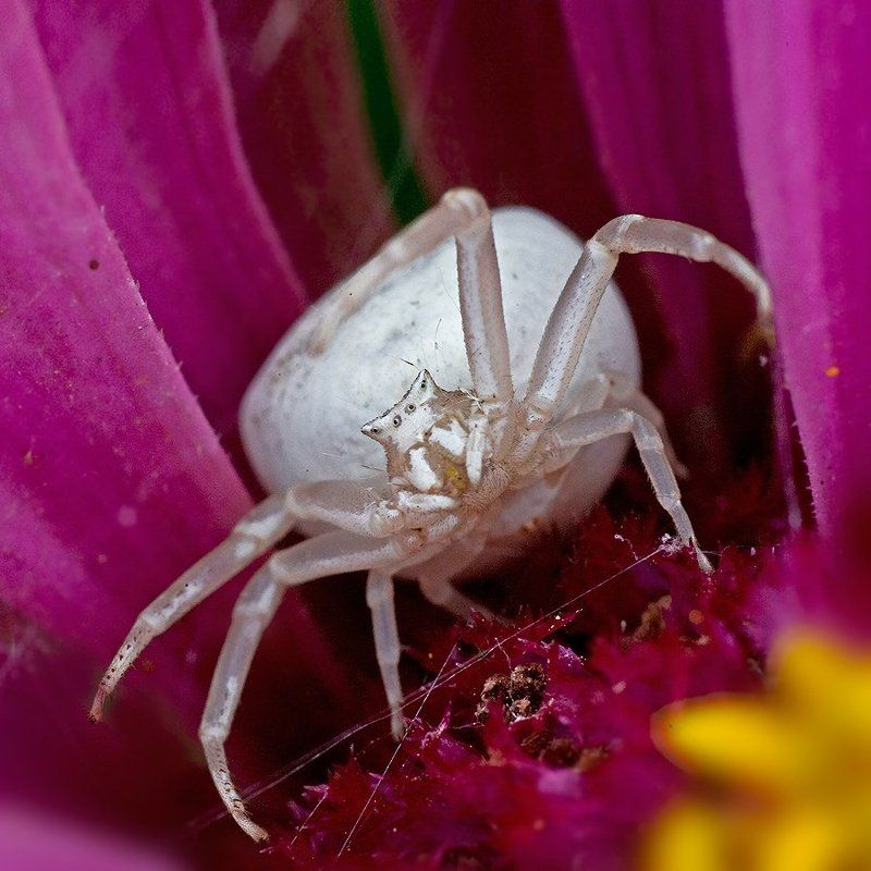 эээээ, фотограф, ща получишьphoto preview