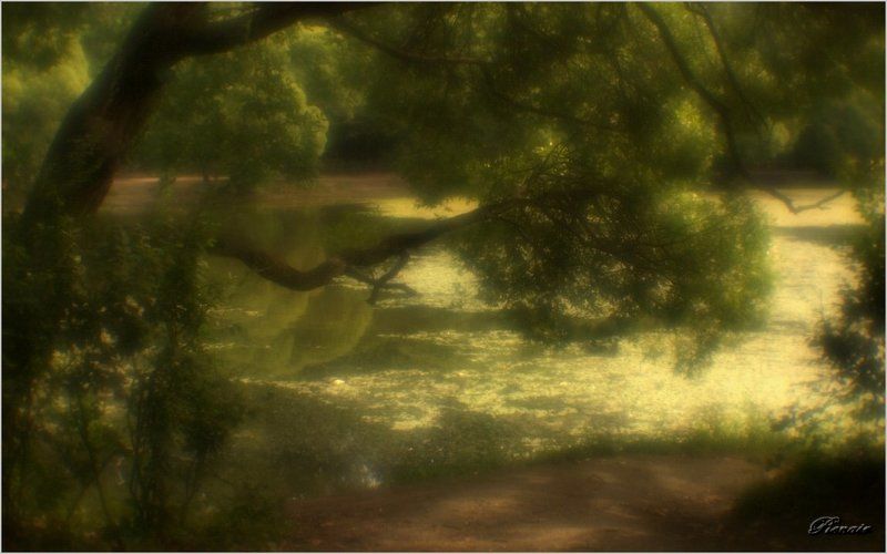 Пространство монокляphoto preview