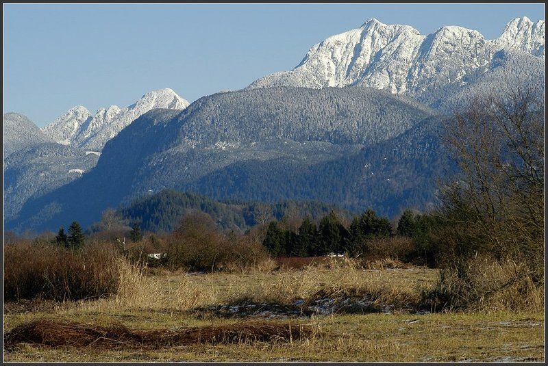 Как всё это сложно устроеноphoto preview