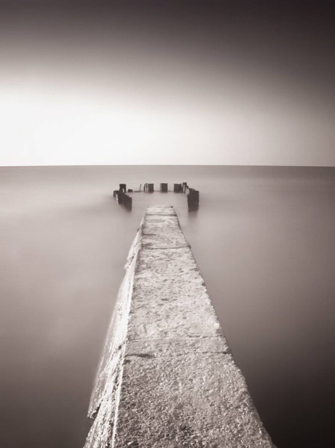 muse. Автор: Павел Хлыпенко , Павел Хлыпенко