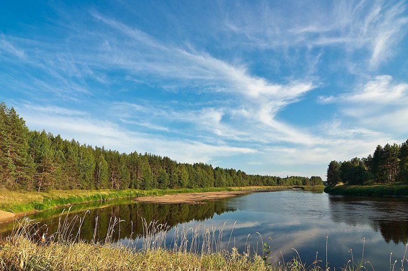 молога,  август,  река,  лес,  лето,  вечер Солнечный вечер на Мологеphoto preview