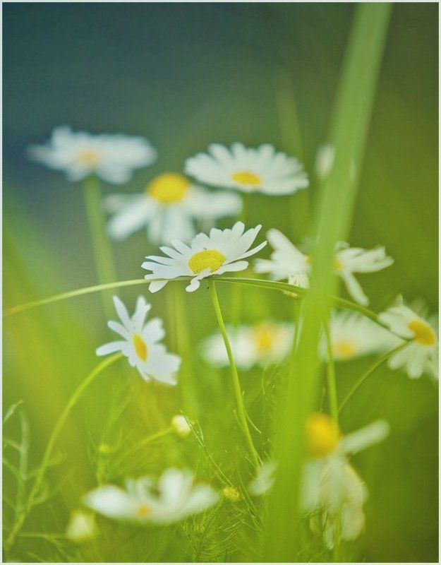 ...ямаха....photo preview