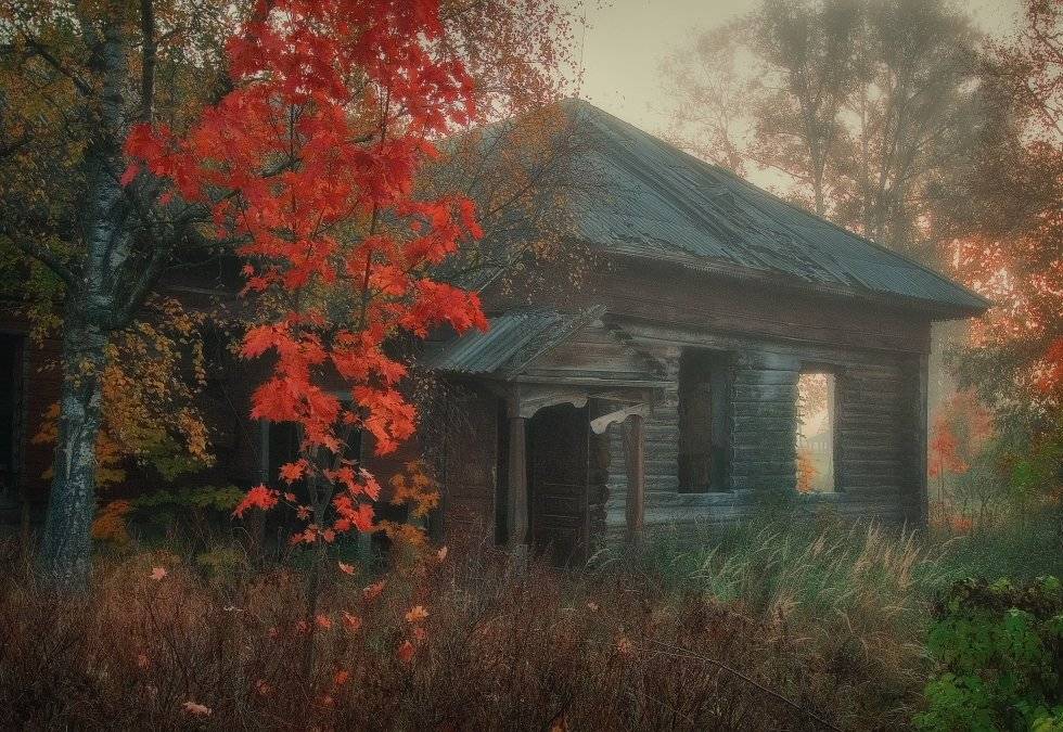 , Владимир Липецких