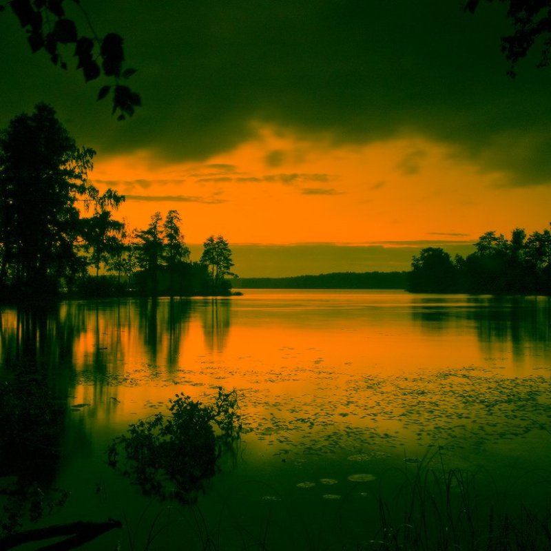 Не день, не ночьphoto preview