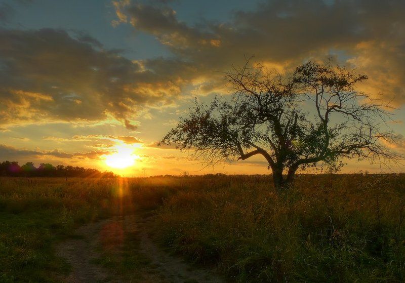 пейзаж, закат, облака, дерево, дорога photo preview