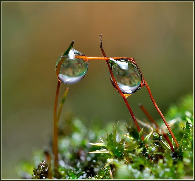 макро,вода, Знаки.photo preview