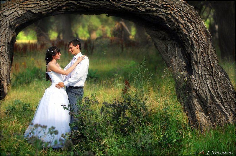 Сказочнаяphoto preview