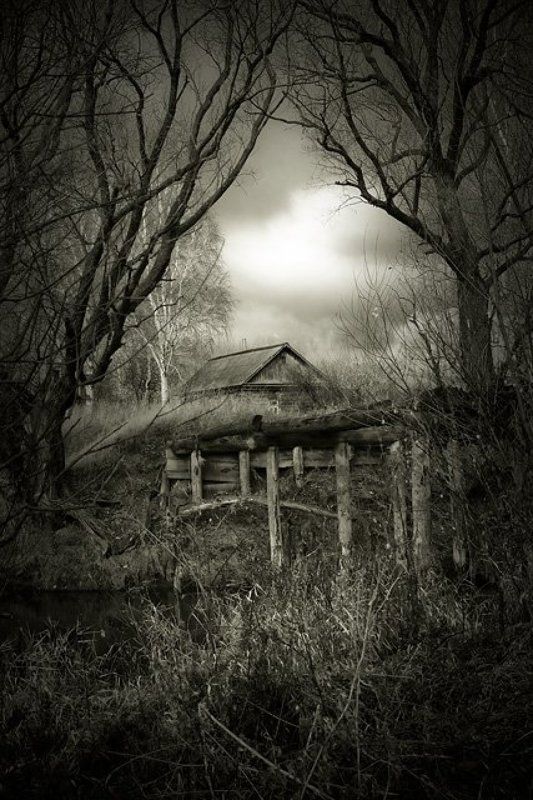изба, мост, сепия, тучи, деревья Одиночествоphoto preview