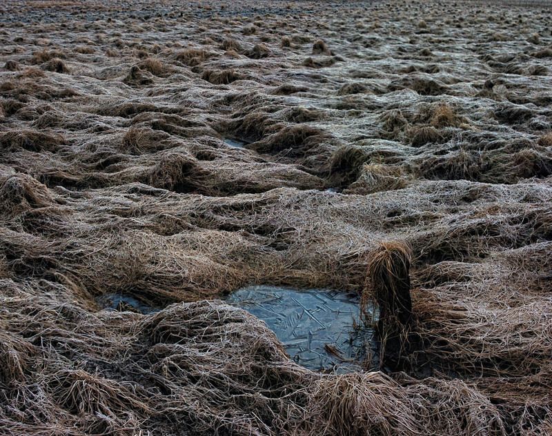 марьphoto preview