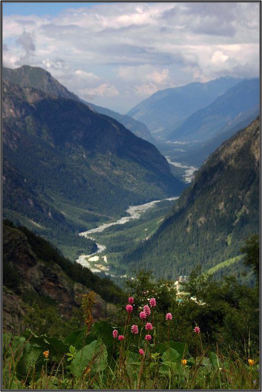 домбай, горы, кавказ А в Домбае разнотравьеphoto preview