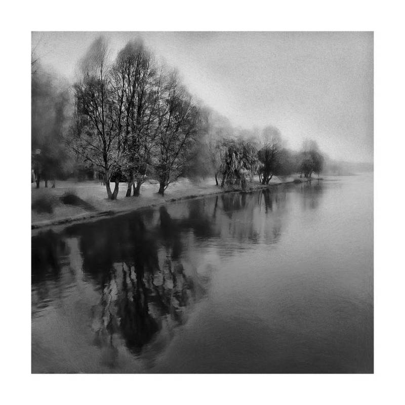 несвиж, парк, беларусь, пейзаж, осень, черно-белое Осеньphoto preview