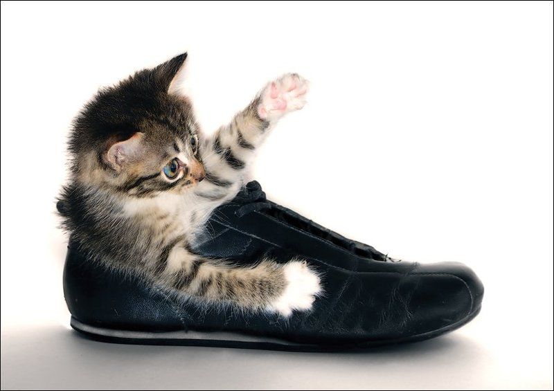 Осторожно! Ребёнок за рулём!photo preview