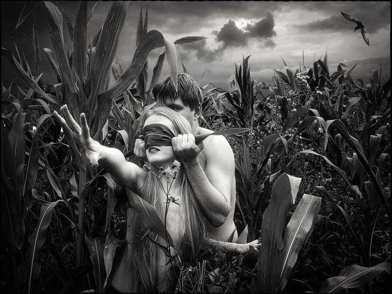 дети, кукуруза Children of the Cornphoto preview