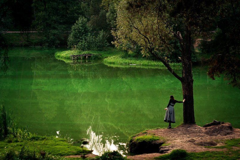 It is my own swampphoto preview