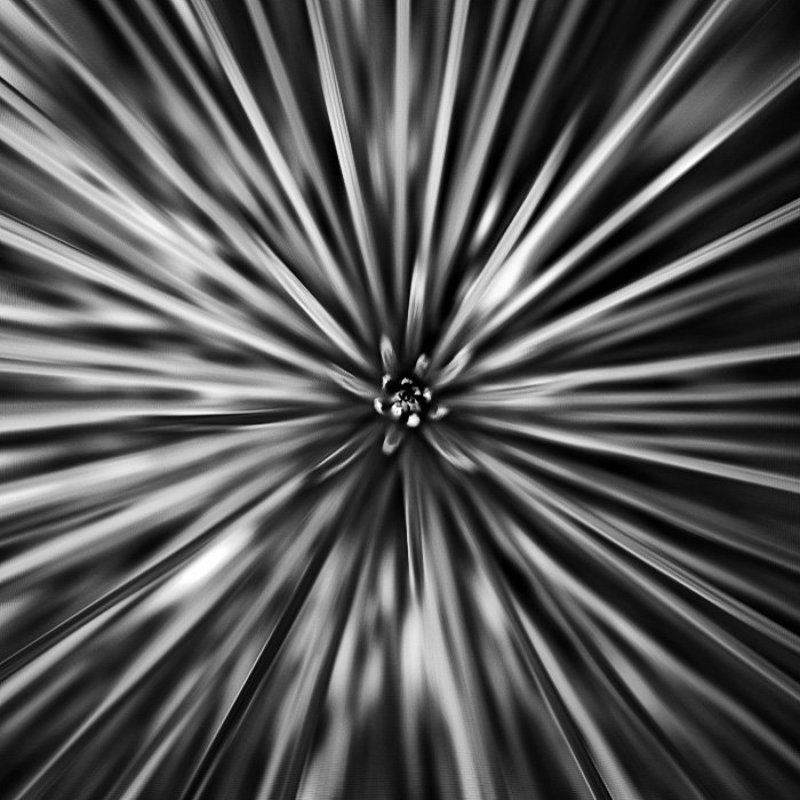 из квадратного... фото превью