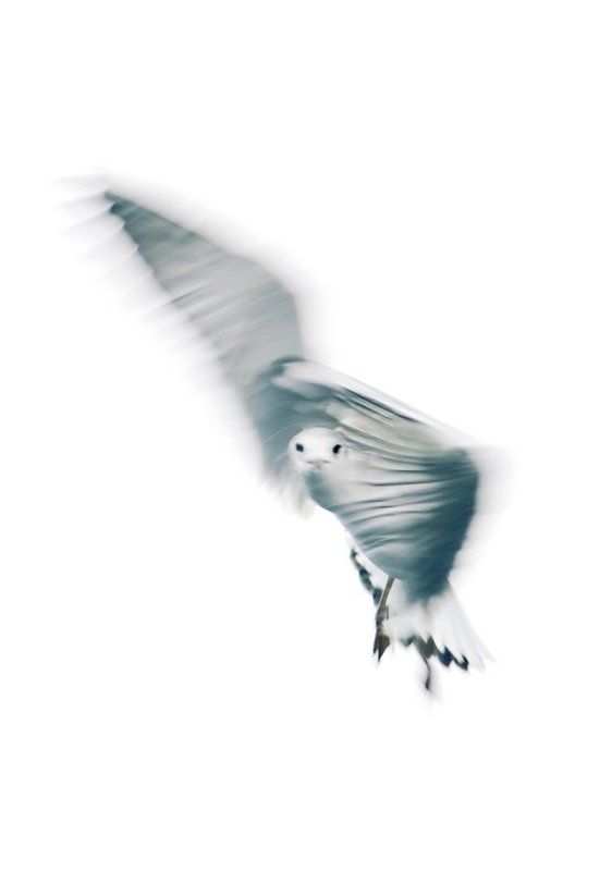 улет! фото превью