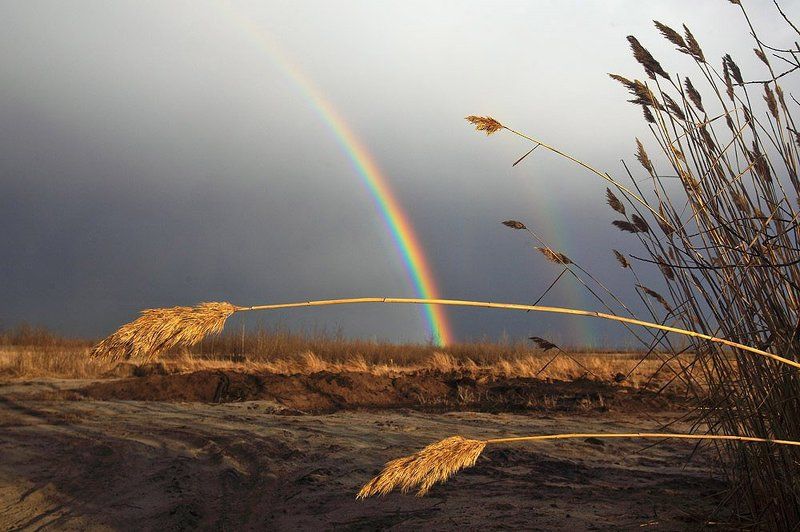 Поклон стихиеphoto preview