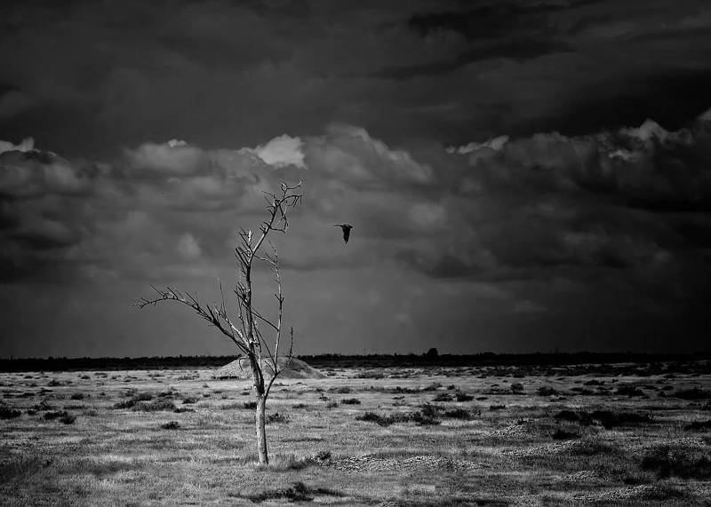 Чёрнобелый пейзажphoto preview