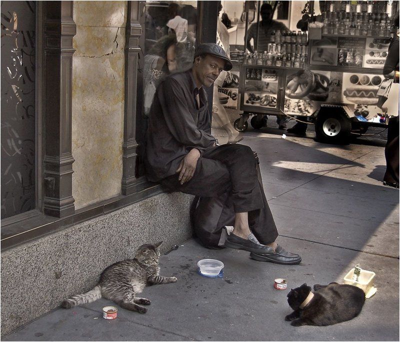 америка, нью-йорк, негр, кошки, черный, афро-американец, свобода, нищий Наконец-то свободен!?photo preview