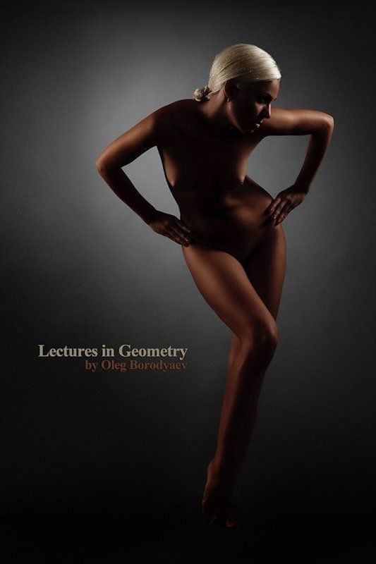 Lectures in Geometryphoto preview