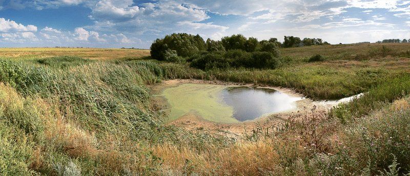 Золотое лето.photo preview