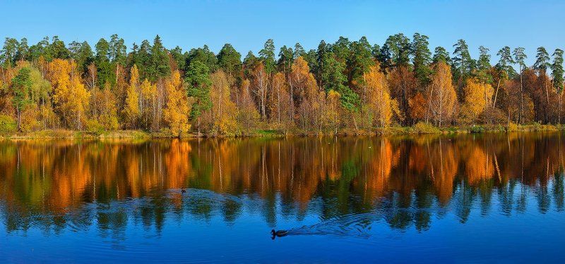 осень, речка, пехорка, лосиный, остров, панорама Осень в Лосином острове, р.Пехорка 2009photo preview