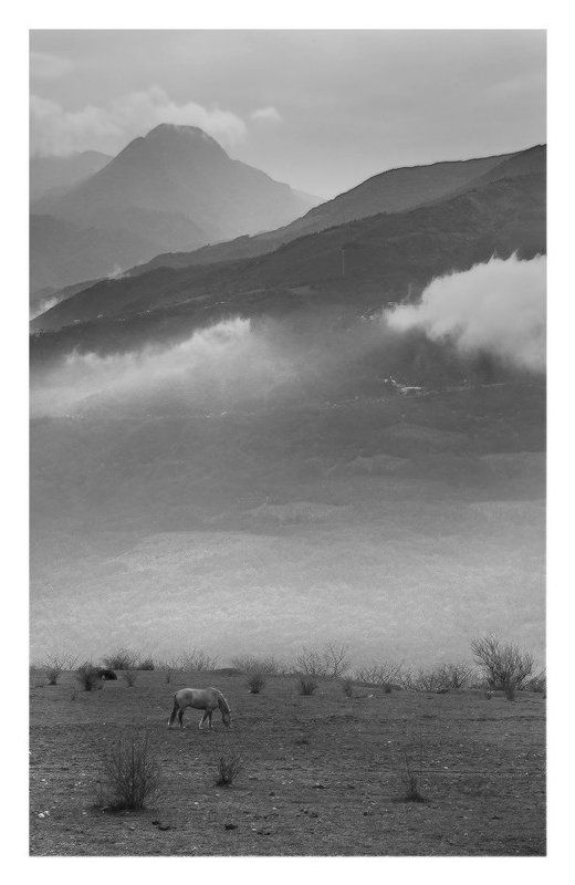 Лошадка под облаками...photo preview