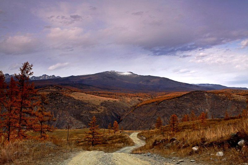 алтай, осень Алтайская осеньphoto preview